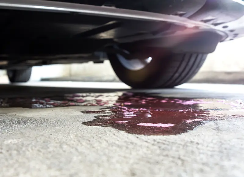 Fluid leaking from underneath a car